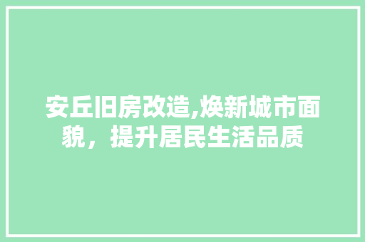 安丘旧房改造,焕新城市面貌，提升居民生活品质