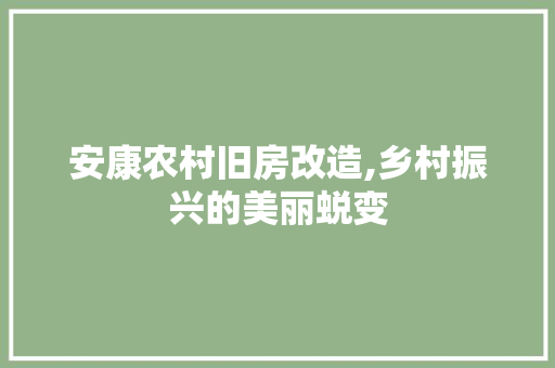 安康农村旧房改造,乡村振兴的美丽蜕变