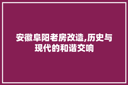 安徽阜阳老房改造,历史与现代的和谐交响