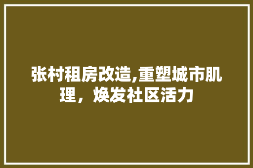 张村租房改造,重塑城市肌理，焕发社区活力