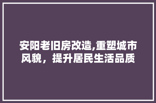 安阳老旧房改造,重塑城市风貌，提升居民生活品质