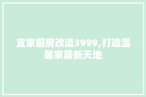 宜家厨房改造3999,打造温馨家居新天地