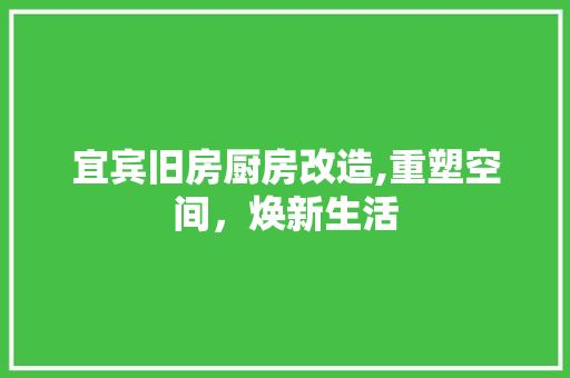 宜宾旧房厨房改造,重塑空间，焕新生活