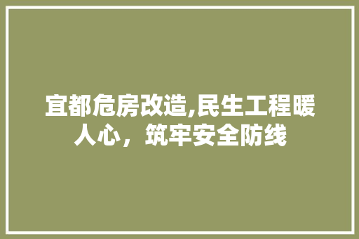 宜都危房改造,民生工程暖人心，筑牢安全防线