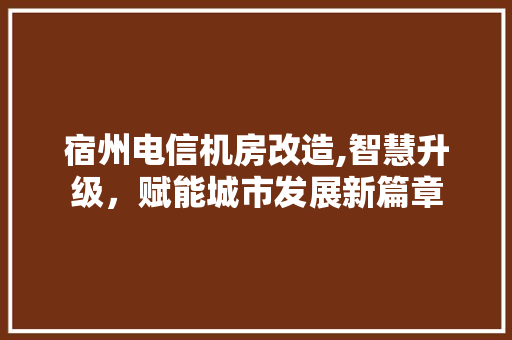 宿州电信机房改造,智慧升级，赋能城市发展新篇章