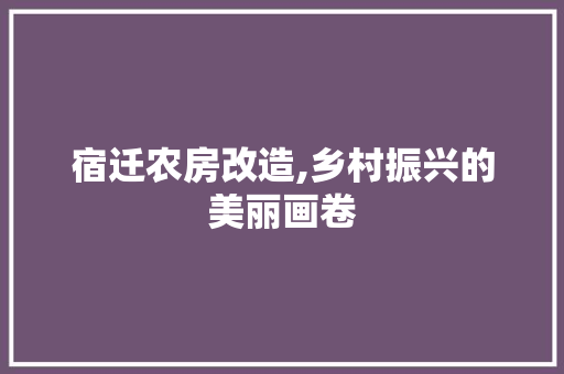 宿迁农房改造,乡村振兴的美丽画卷