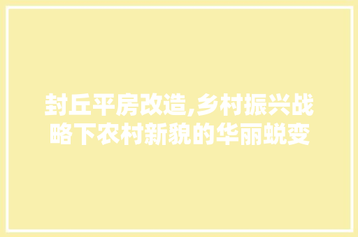封丘平房改造,乡村振兴战略下农村新貌的华丽蜕变