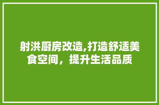 射洪厨房改造,打造舒适美食空间，提升生活品质