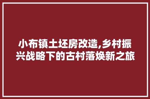 小布镇土坯房改造,乡村振兴战略下的古村落焕新之旅