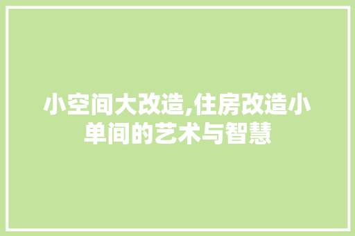 小空间大改造,住房改造小单间的艺术与智慧