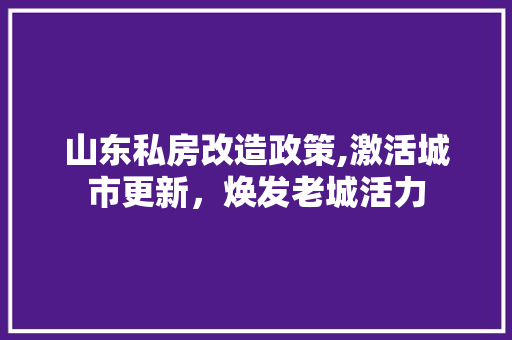 山东私房改造政策,激活城市更新，焕发老城活力
