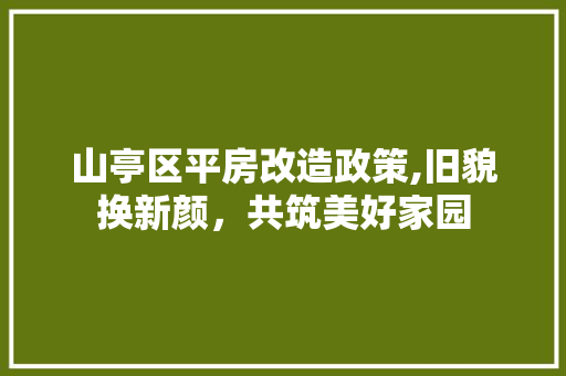 山亭区平房改造政策,旧貌换新颜，共筑美好家园