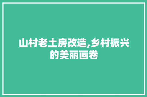 山村老土房改造,乡村振兴的美丽画卷