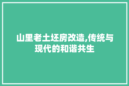 山里老土坯房改造,传统与现代的和谐共生