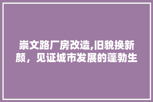 崇文路厂房改造,旧貌换新颜，见证城市发展的蓬勃生机