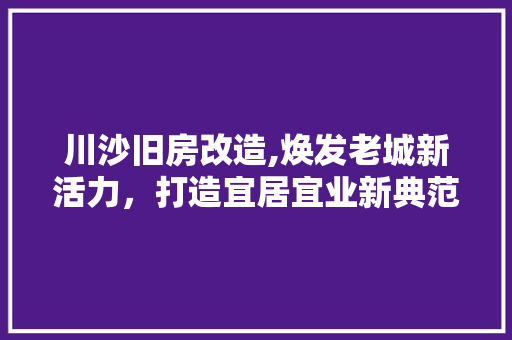 川沙旧房改造,焕发老城新活力，打造宜居宜业新典范