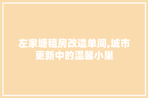 左家塘租房改造单间,城市更新中的温馨小巢