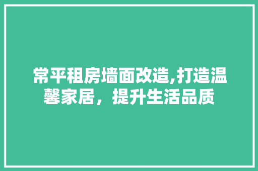 常平租房墙面改造,打造温馨家居，提升生活品质