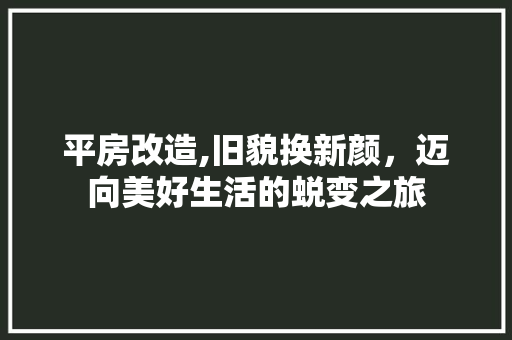 平房改造,旧貌换新颜，迈向美好生活的蜕变之旅