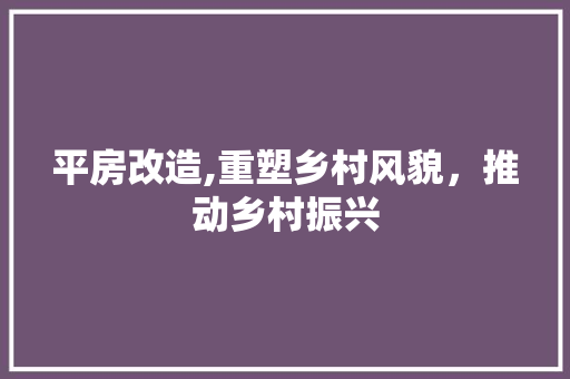 平房改造,重塑乡村风貌，推动乡村振兴