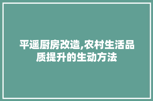 平遥厨房改造,农村生活品质提升的生动方法