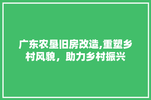 广东农垦旧房改造,重塑乡村风貌，助力乡村振兴