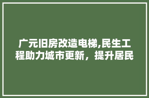 广元旧房改造电梯,民生工程助力城市更新，提升居民生活品质