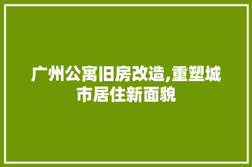 广州公寓旧房改造,重塑城市居住新面貌