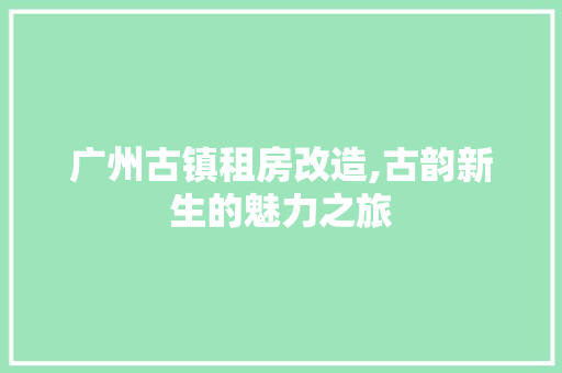 广州古镇租房改造,古韵新生的魅力之旅