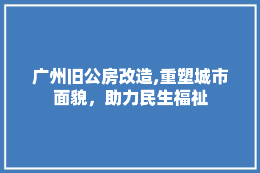 广州旧公房改造,重塑城市面貌，助力民生福祉