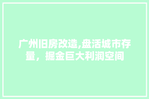 广州旧房改造,盘活城市存量，掘金巨大利润空间