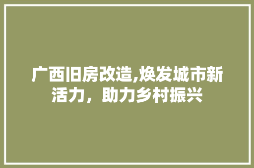 广西旧房改造,焕发城市新活力，助力乡村振兴