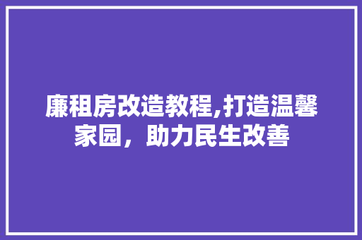 廉租房改造教程,打造温馨家园，助力民生改善