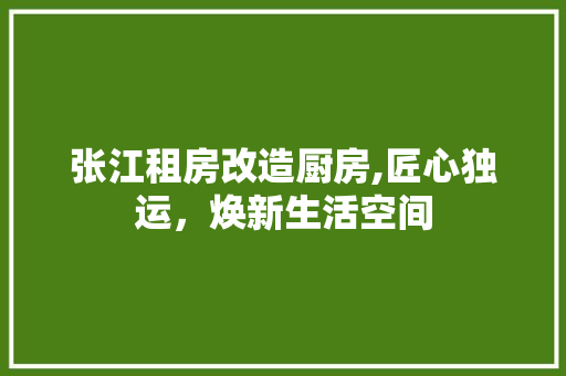 张江租房改造厨房,匠心独运，焕新生活空间