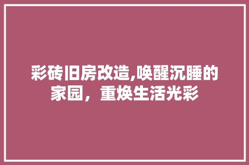 彩砖旧房改造,唤醒沉睡的家园，重焕生活光彩