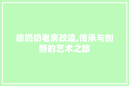 徐奶奶老房改造,传承与创新的艺术之旅