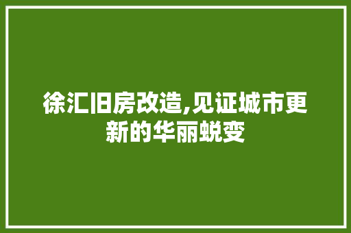 徐汇旧房改造,见证城市更新的华丽蜕变