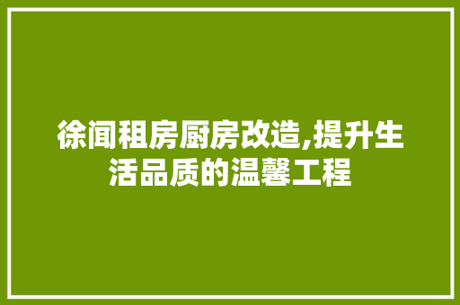 徐闻租房厨房改造,提升生活品质的温馨工程