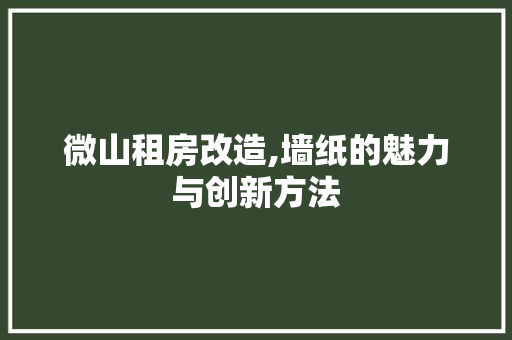 微山租房改造,墙纸的魅力与创新方法
