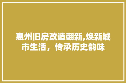 惠州旧房改造翻新,焕新城市生活，传承历史韵味