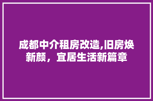 成都中介租房改造,旧房焕新颜，宜居生活新篇章