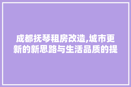 成都抚琴租房改造,城市更新的新思路与生活品质的提升