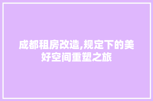 成都租房改造,规定下的美好空间重塑之旅
