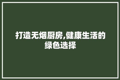 打造无烟厨房,健康生活的绿色选择