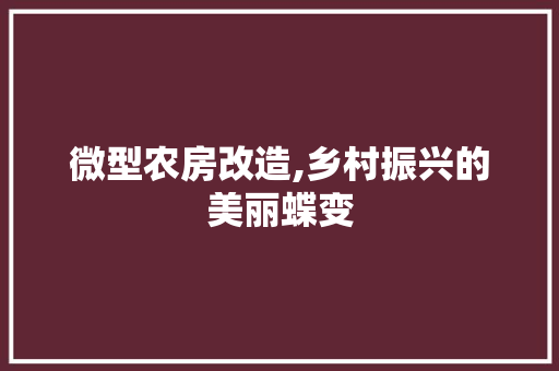 微型农房改造,乡村振兴的美丽蝶变