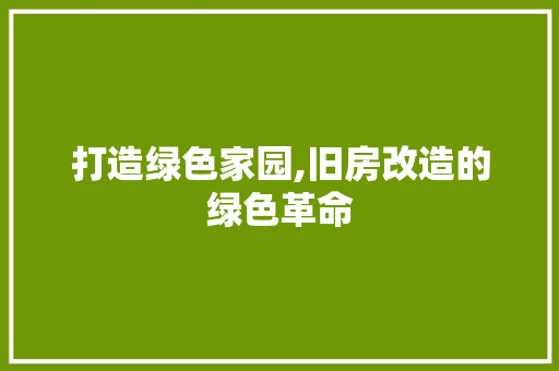 打造绿色家园,旧房改造的绿色革命