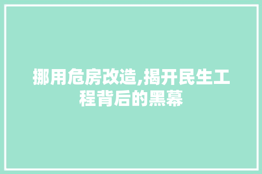挪用危房改造,揭开民生工程背后的黑幕