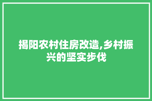 揭阳农村住房改造,乡村振兴的坚实步伐