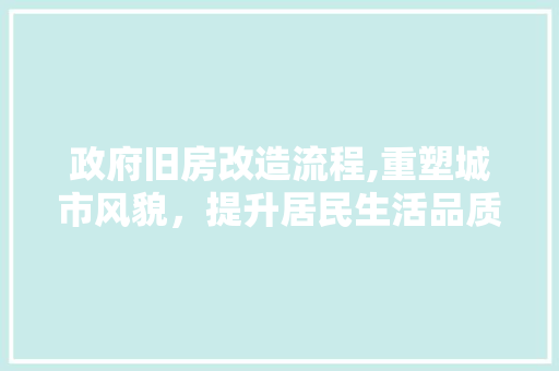 政府旧房改造流程,重塑城市风貌，提升居民生活品质
