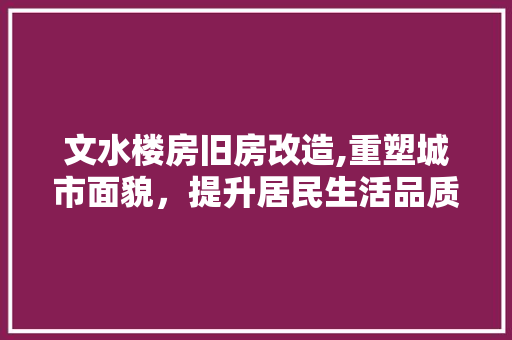 文水楼房旧房改造,重塑城市面貌，提升居民生活品质
